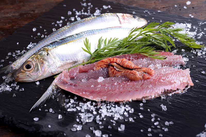 decoupe professionnelle poisson